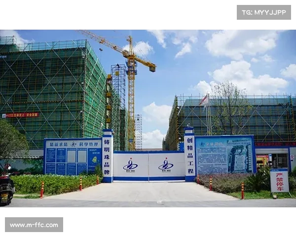 项目制外包流程标准化，协作质量可控性增强